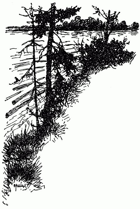 Встречи с животными - img_21.png