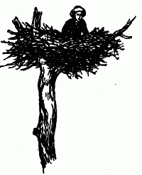 Встречи с животными - img_61.png