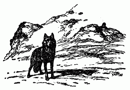 Встречи с животными - img_67.png