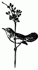 Встречи с животными - img_80.png