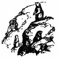 Встречи с животными - img_120.png