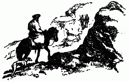 Встречи с животными - img_121.png