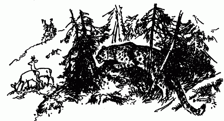 Встречи с животными - img_122.png