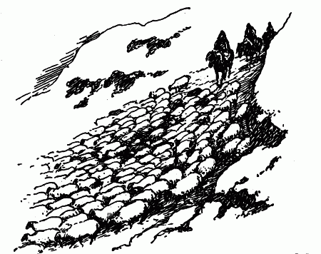 Встречи с животными - img_128.png