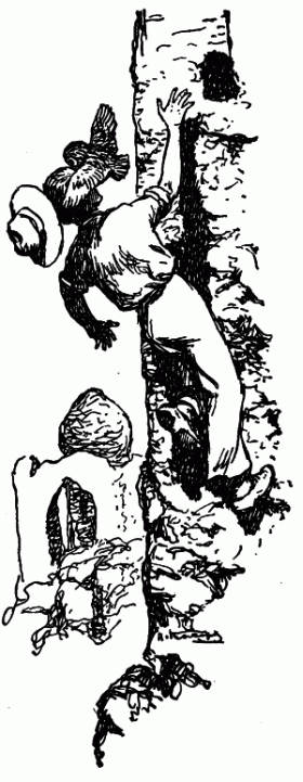 Встречи с животными - img_137.png