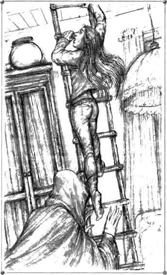 Пожиратель мух - pic_2.jpg