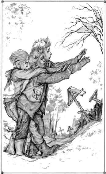 Пожиратель мух - pic_4.jpg