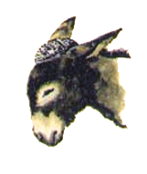 Туркменские сказки об Ярты-Гулоке - i_041.png