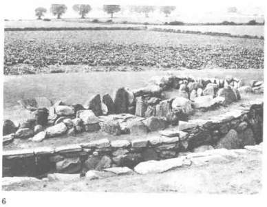 Пикты. Таинственные воины древней Шотландии - any2fbimgloader12.jpeg