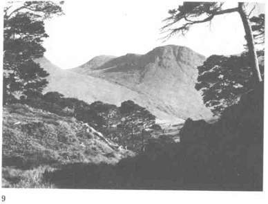 Пикты. Таинственные воины древней Шотландии - any2fbimgloader9.jpeg