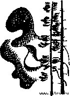 Испытание - ispytan1.jpg