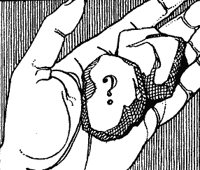 Полювання на мустангів - doc2fb_image_03000008.png