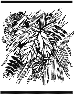 Крок вікінга - doc2fb_image_03000008.png