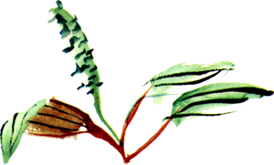 Байкала-озера сказки Том II  разд.1 - i_038.png