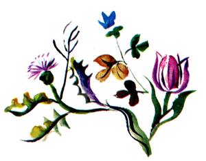 Байкала-озера сказки Том II  разд.1 - i_040.png