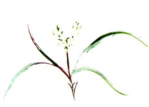 Байкала-озера сказки Том II разд.1 - i_047.png