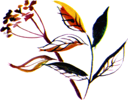 Байкала-озера сказки Том II разд.1 - i_050.png