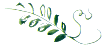 Байкала-озера сказки Том II  разд.1 - i_053.png