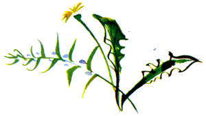 Байкала-озера сказки Том II  разд.1 - i_057.png