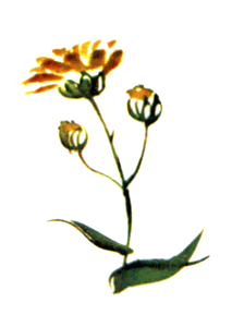 Байкала-озера сказки Том II  разд.1 - i_067.png