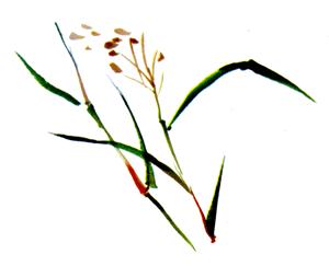 Байкала-озера сказки Том II  разд.1 - i_084.png