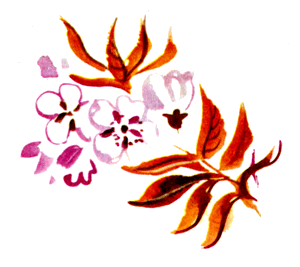 Байкала-озера сказки Том II  разд.1 - i_088.png