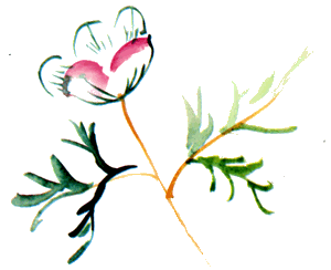 Байкала-озера сказки Том II  разд.1 - i_095.png