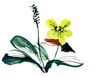 Байкала-озера сказки Том II  разд.1 - i_100.png