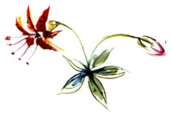 Байкала-озера сказки Том II разд.3 - i_041.png