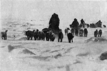 Пешком через Ледовитый океан - _28.jpg