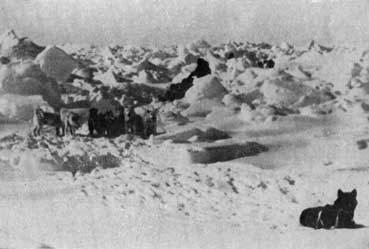 Пешком через Ледовитый океан - _3.jpg