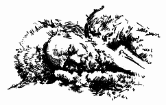 Время крови - i_019.png