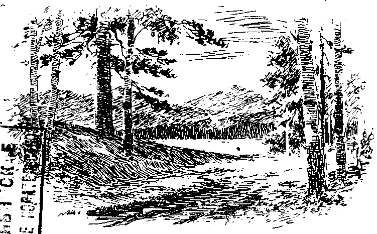 Следопыты Ильменских гор - img_1.png