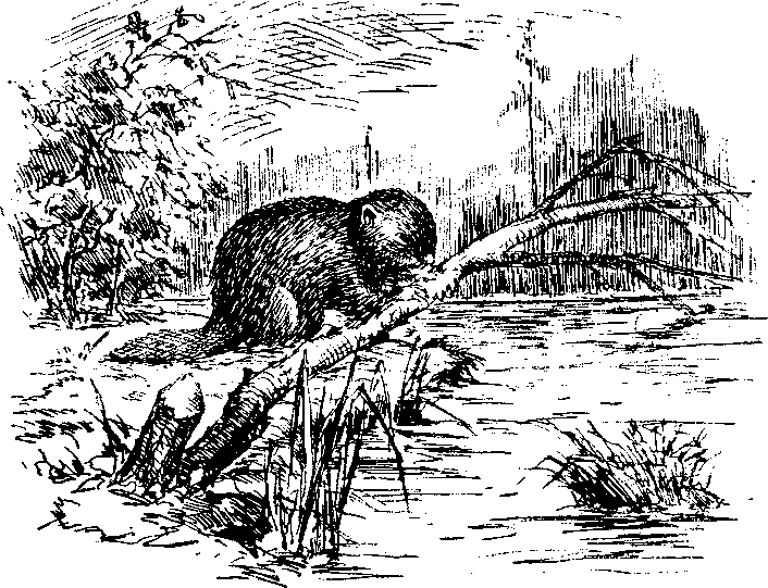 Следопыты Ильменских гор - img_12.png