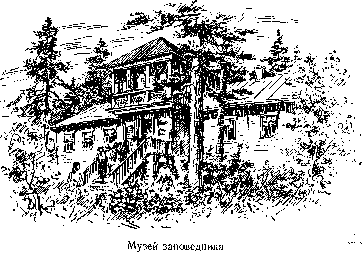 Следопыты Ильменских гор - img_4.png