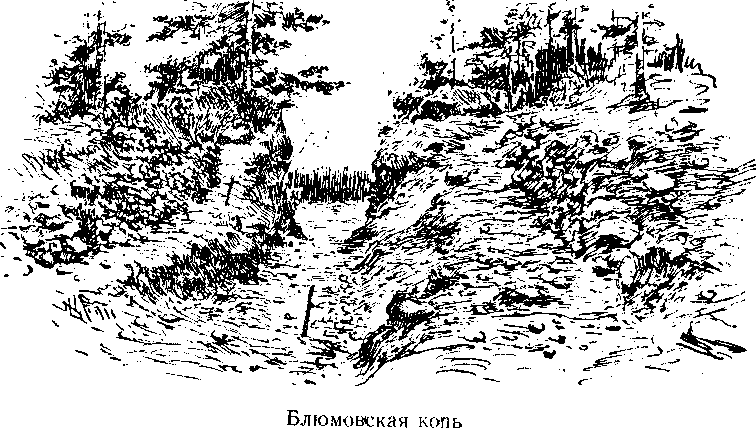 Следопыты Ильменских гор - img_5.png