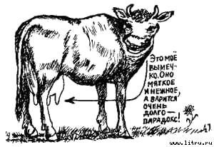 Книга про еду [Моя поваренная книга] - _18.jpg