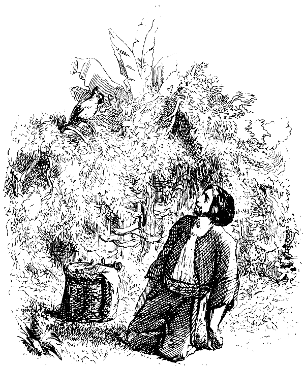 Робинзон Крузо (адаптированный вариант для детей) - i_022.png