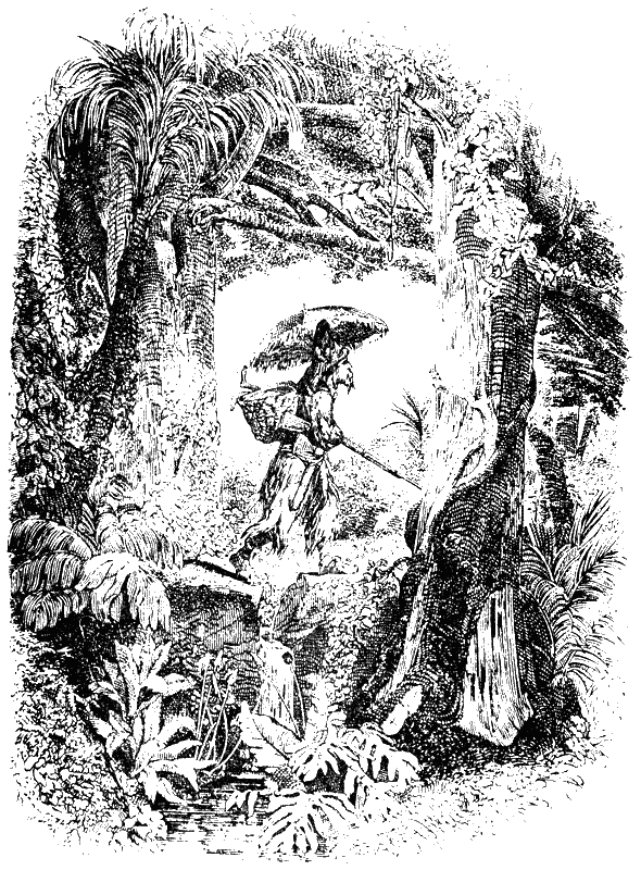 Робинзон Крузо (адаптированный вариант для детей) - i_025.png