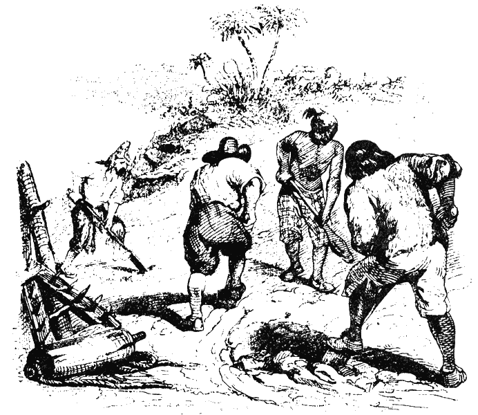 Робинзон Крузо (адаптированный вариант для детей) - i_047.png