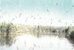 Тропинки в загадочный мир [с иллюстрациями] - pic_13.jpg