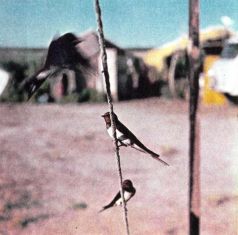 Тропинки в загадочный мир [с иллюстрациями] - pic_14.jpg