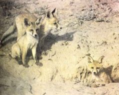 Тропинки в загадочный мир [с иллюстрациями] - pic_20.jpg