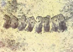 Тропинки в загадочный мир [с иллюстрациями] - pic_22.jpg