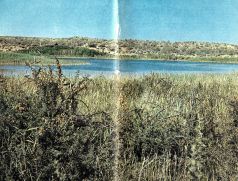 Тропинки в загадочный мир [с иллюстрациями] - pic_32.jpg