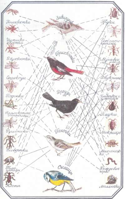 Тропинки в загадочный мир [с иллюстрациями] - tmp211.jpg