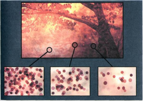 Кратчайшая история времени - image23.jpg