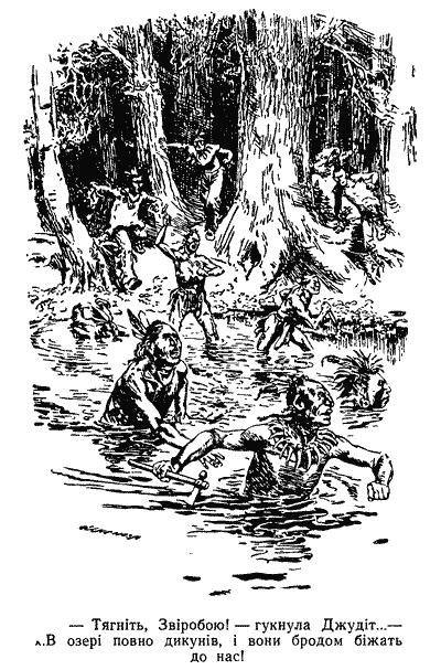 Звіробій - doc2fb_image_03000007.png