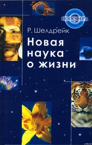 Серия книг «Ноосфера»
