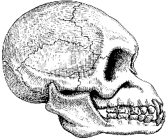 Человек после человека - pic_37.png